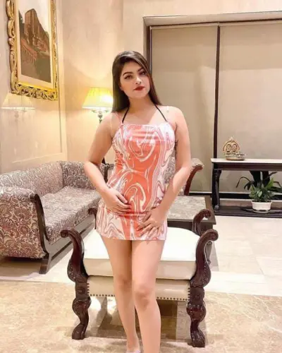 Escorts Service In Janjgir